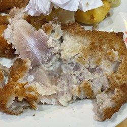 Hibachi Grill Supreme Buffet - Raw fish!