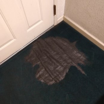 Capri Motel - Carpet - Hotels Near Me - Redwood City, California