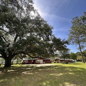 Dowless Blueberry Farm - Farms Near Me - Jacksonville, Florida Dowless Blueberry Farm - Farms Near Me - Jacksonville, Florida