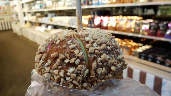 Trish's Chocolate by null