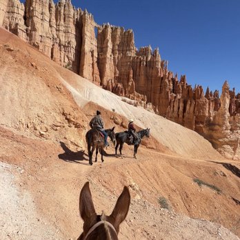 Canyon Trail Rides - Horseback Riding Near Me - Tropic, Utah