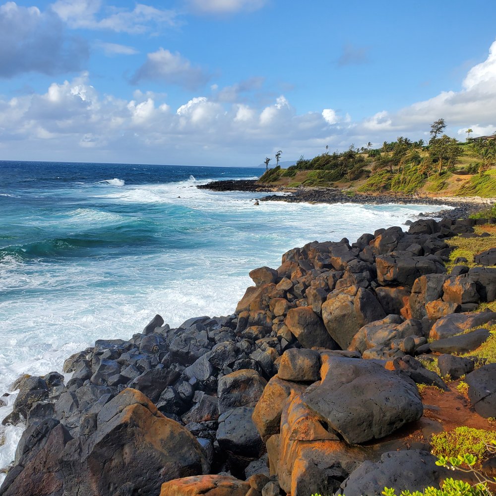 Kauai Path - View from the path - Parks Near Me Kauai Path - View from the path - Parks Near Me