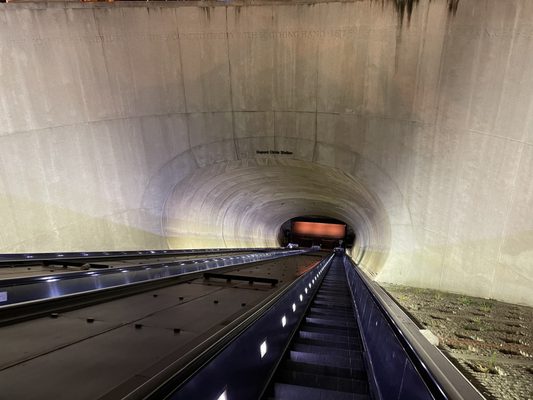 DuPont Circle by null