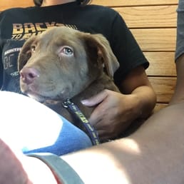 Awesome facility, my wife and I took our Lab puppy there and they did everything they could to find out what the problem was. Awesome facility, my wife and I took our Lab puppy there and they did everything they could to find out what the problem was.