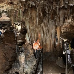 Onyx Cave Park - Light up tree