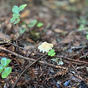 Redwood City - Places To Go