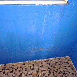 Bananas Guesthouse - MOLD