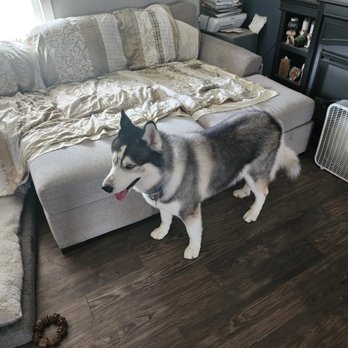 Noah's Bark Pet Boarding - Pet Boarding Near Me - Lampasas, Texas Noah's Bark Pet Boarding - Pet Boarding Near Me - Lampasas, Texas