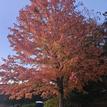 Worthington Vineyard & Winery - Autumn vibes. - Venues & Event Spaces Near Me - Somers, Connecticut Worthington Vineyard & Winery - Autumn vibes. - Venues & Event Spaces Near Me - Somers, Connecticut