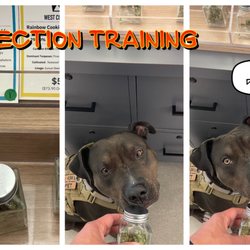 Illa Canna - Illa Canna kindly allows detection dog training. Minimum purchase of $50 applies per training session.