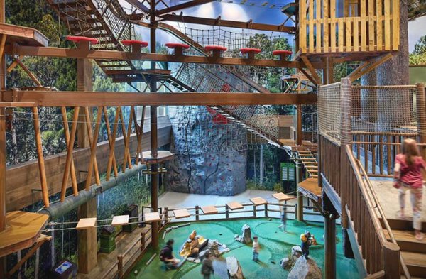 Great Wolf Lodge | Southwest Florida by null
