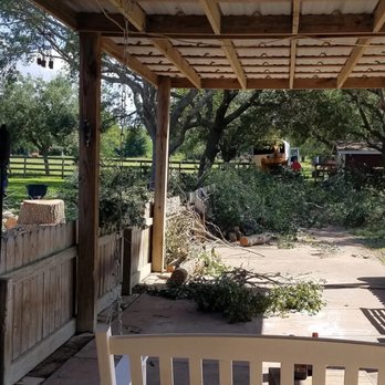 Cut 'n Edge Trees - Tree Services Near Me Cut 'n Edge Trees - Tree Services Near Me