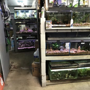 specialty fish store