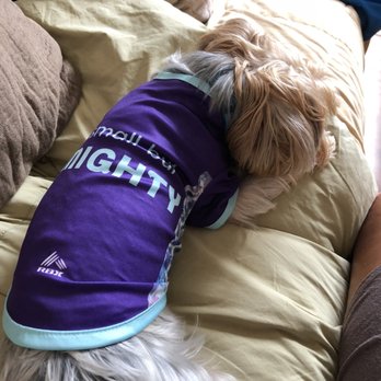 Ross Dress for Less - Breathable UV blocking splashguard for pets - Department Stores Near Me - Kapolei, Hawaii