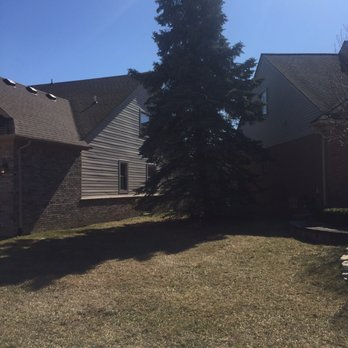 Budget Tree Service - Tree Services Near Me - Washington, Michigan Budget Tree Service - Tree Services Near Me - Washington, Michigan