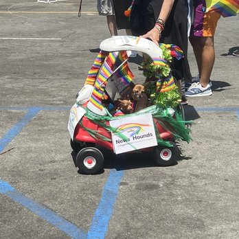 San Diego Pride - Puppies. - Festivals Near Me - San Diego, California San Diego Pride - Puppies. - Festivals Near Me - San Diego, California