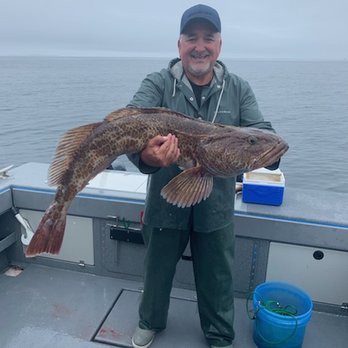 Shelter Cove Lodge - One of the linc cods - Fishing Near Me - Craig, Alaska