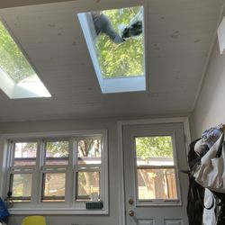 Professional Tree Services - Enrique giving our skylights a polish!