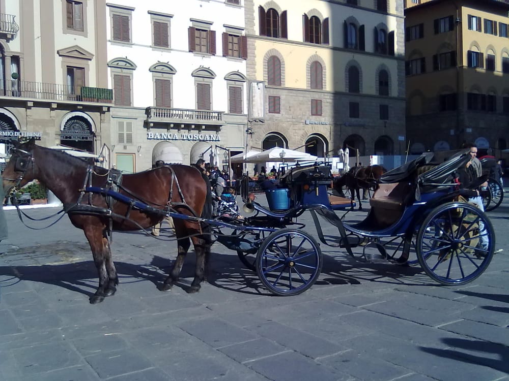 Giro in Carrozza