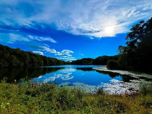 Rockefeller State Park Preserve by null