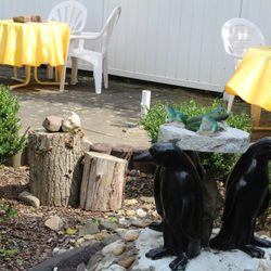 Minigolf Unter Palmen - ...auf ein Kaffee oder Bier