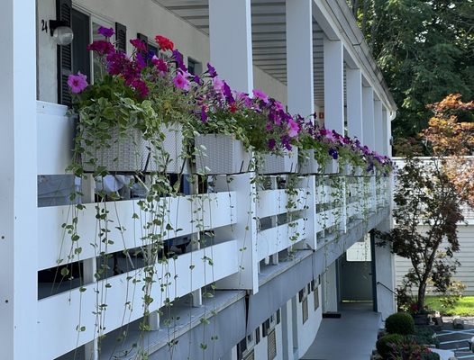 Roosevelt Inn of Hyde Park by null
