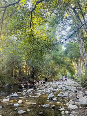 Big Sur River Inn by null