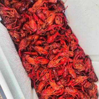 Dat 337 Creole Cookery - Cajun/Creole Near Me - Houston, Texas Dat 337 Creole Cookery - Cajun/Creole Near Me - Houston, Texas