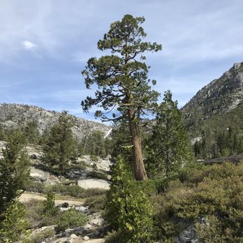Horsetail Falls Hike - Hiking Near Me