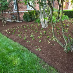Rafael Landscaping