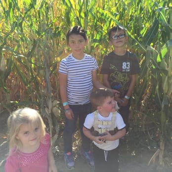 Crazy Corn Maze and Pumpkins - Pumpkin Patches Near Me - West Jordan, Utah