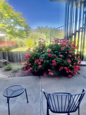 Wine Country Inn & Cottages Napa Valley by null