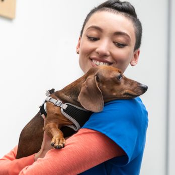 banfield near me reviews
