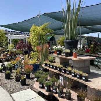 Evergreen Nursery - Outdoor area - Nurseries & Gardening Near Me - San Leandro, California Evergreen Nursery - Outdoor area - Nurseries & Gardening Near Me - San Leandro, California