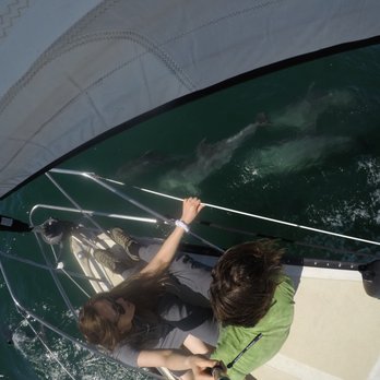 Old Plank Sailing Adventures - 3h afternoon sail with Old Plank Sailing Adventures - Boat Charters Near Me - Marina del Rey, California Old Plank Sailing Adventures - 3h afternoon sail with Old Plank Sailing Adventures - Boat Charters Near Me - Marina del Rey, California