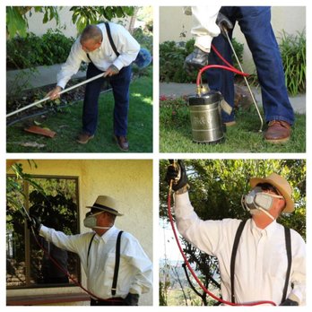 Bonsall Pest Control - Pest Control Near Me - Fallbrook, California Bonsall Pest Control - Pest Control Near Me - Fallbrook, California