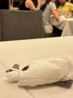 Caffè Ponte by null