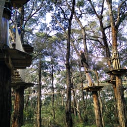 The Enchanted Maze Garden