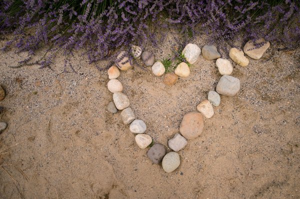 Okanagan Lavender & Herb Farm by null