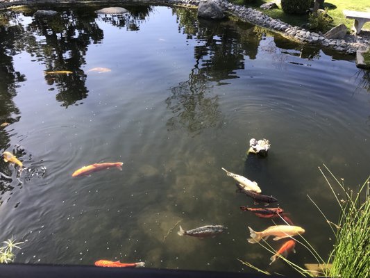 The Shoseian Whispering Pine Japanese Tea House by null