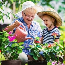 Floral Gardening