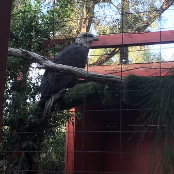 Wildlife Learning Center - Zoos Near Me - Sylmar, California