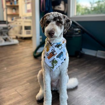 Pampered Pup Grooming - Hello, September! Here's to cooler days, cozy seasons, and plenty of wagging tails ahead! - Pet Groomers Near Me - West Bend, Wisconsin Pampered Pup Grooming - Hello, September! Here's to cooler days, cozy seasons, and plenty of wagging tails ahead! - Pet Groomers Near Me - West Bend, Wisconsin