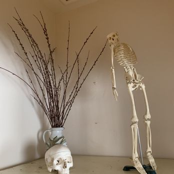 McKinnon Body Therapy Center - Adult Education Near Me - Berkeley, California