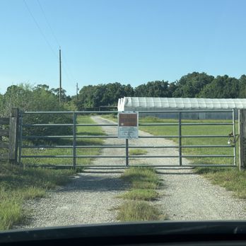 Sow Exotic - Nurseries & Gardening Near Me - Winter Haven, Florida Sow Exotic - Nurseries & Gardening Near Me - Winter Haven, Florida