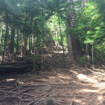Kuliouou Ridge Trail - 01.11.18 so many tree roots - Hiking Near Me - Honolulu, Hawaii Kuliouou Ridge Trail - 01.11.18 so many tree roots - Hiking Near Me - Honolulu, Hawaii