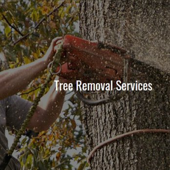 D & D Tree Service - untitled - Tree Services Near Me - Cedar Rapids, Iowa
