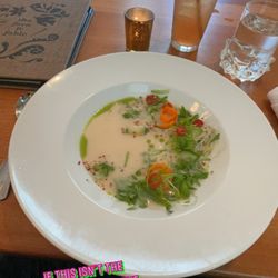 The Fern & Fable - Watermelon margarita, Thai coconut bisque