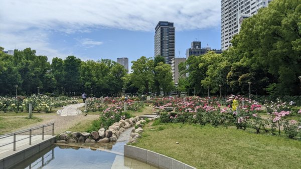 Utsubo Park by null