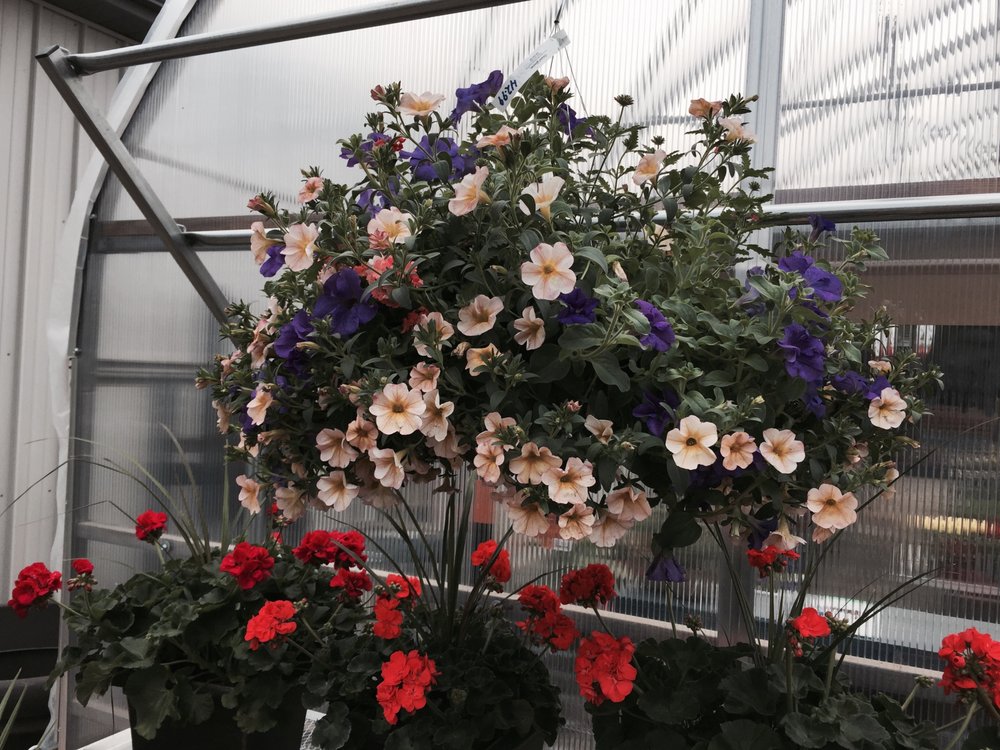 COLONIAL GARDENS Updated September 2024 10 Photos 1419 Youngstown